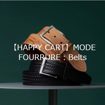 MODE FOURRURE　Belts