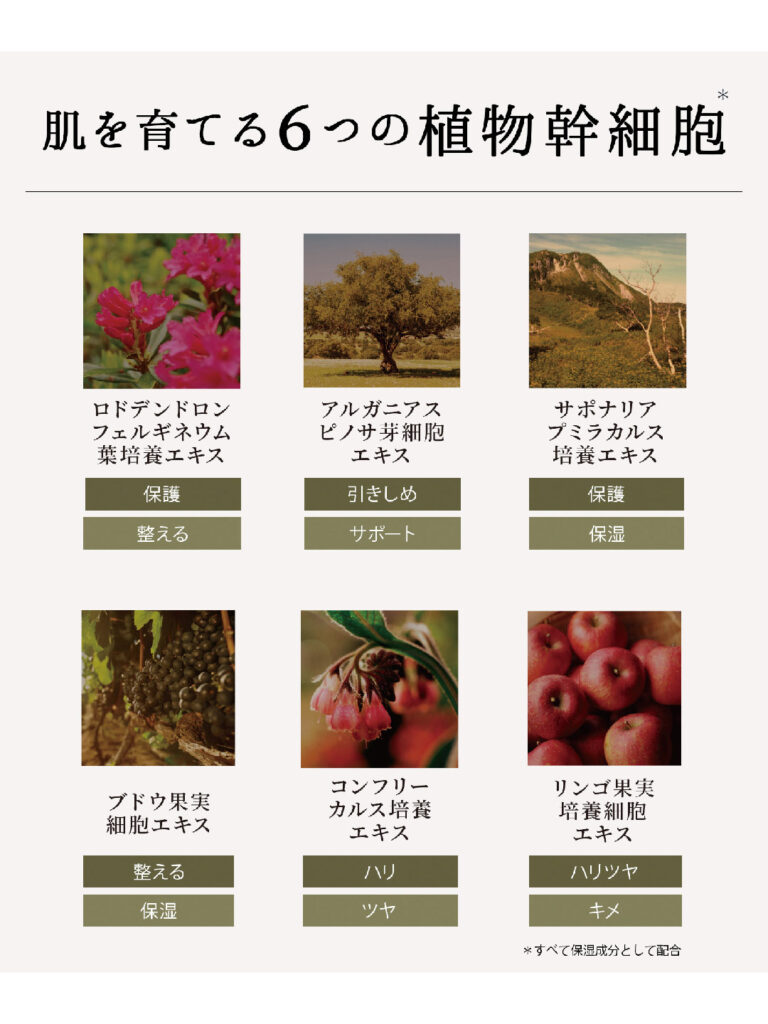 LOWENA　植物幹細胞エレメンタルローション」