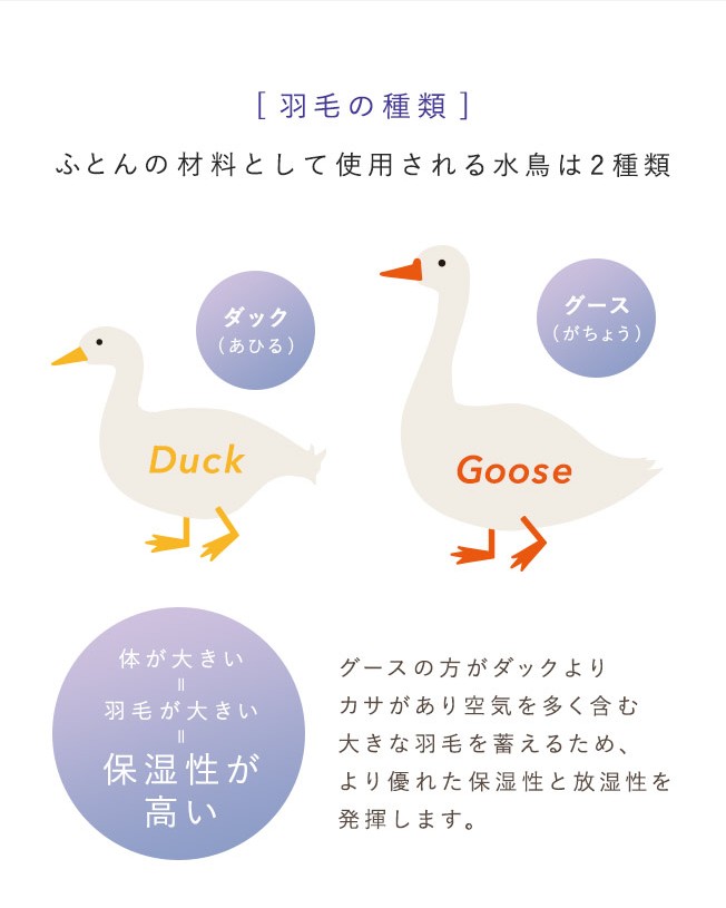 甲州羽毛ふとん の ハンガリーホワイトマザーグースデュベ